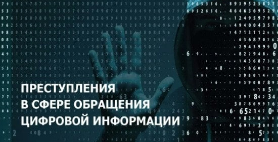 Бегишев И.Р., Бикеев И.И. Преступления в сфере обращения цифровой информации